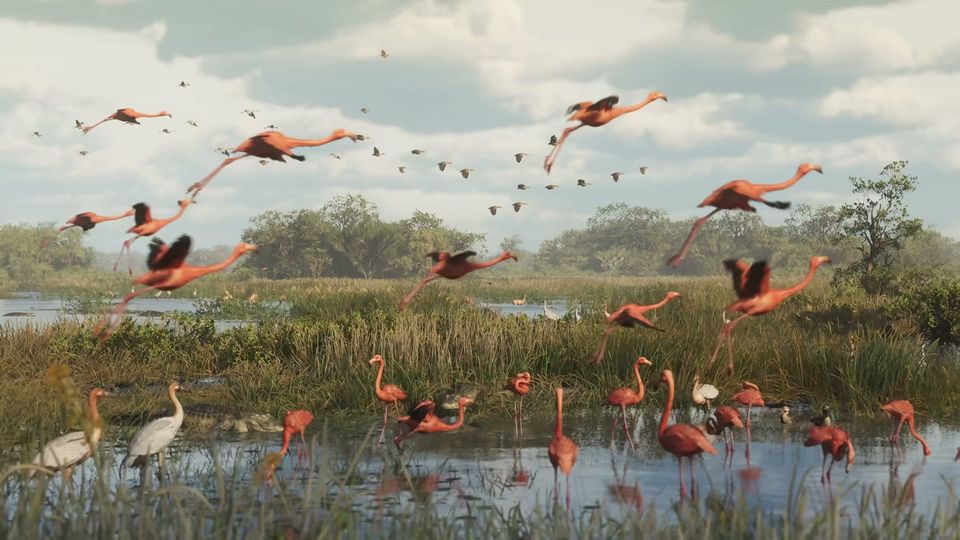 A flock of flamingos takes flight and stands in a marshy wetland, with other birds and alligators visible in the water.