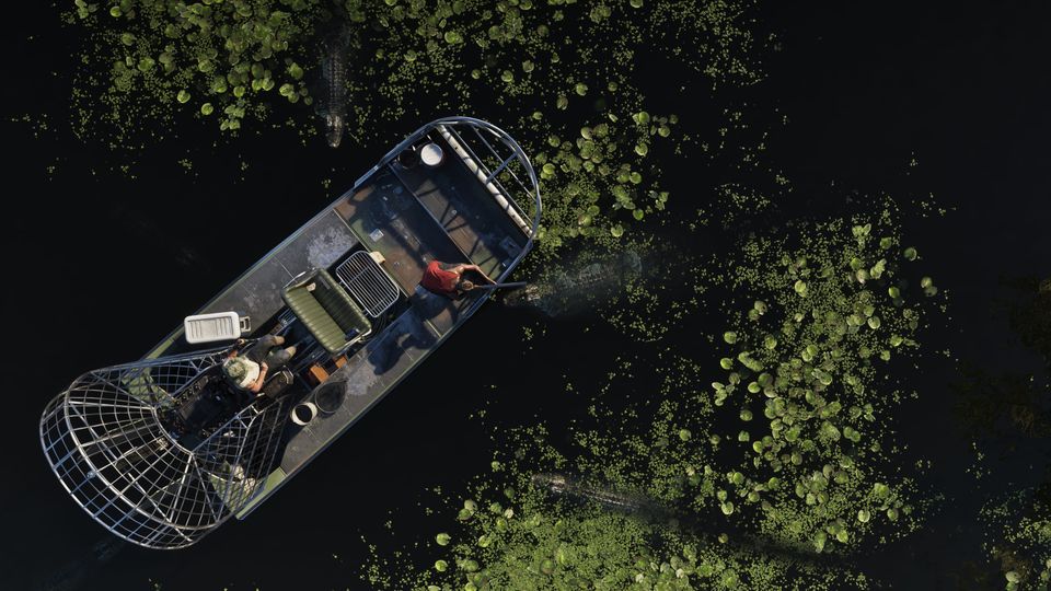 Grassrivers — official art 3 — official GTA 6 artwork of Grassrivers