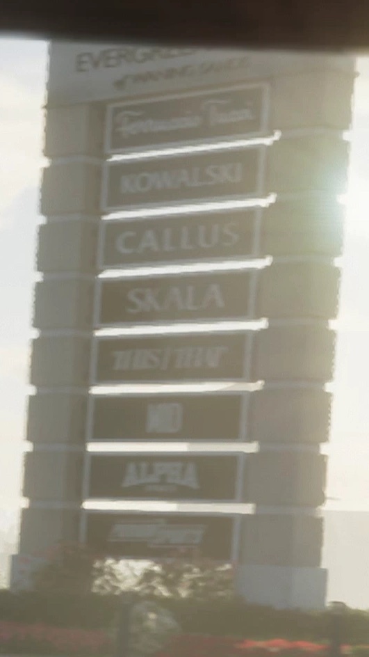 Unnamed GTA VI shopping mall
