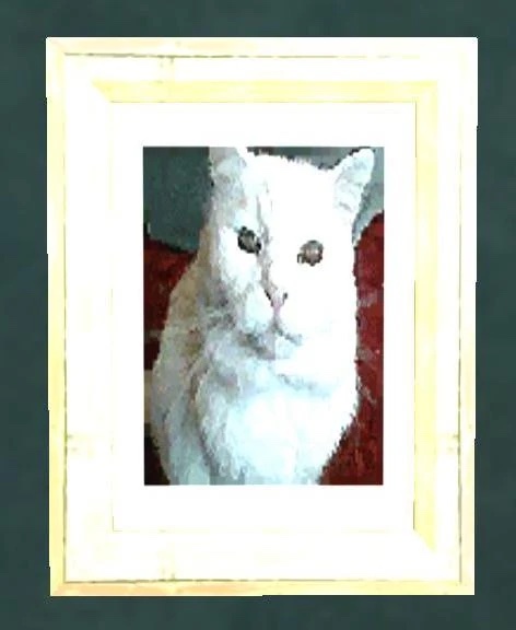 Cats — image from the GTA Wiki