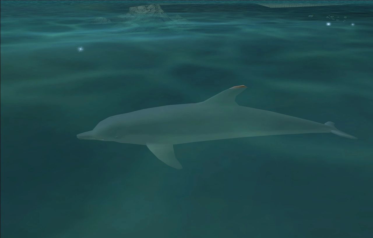Dolphins — image from the GTA Wiki