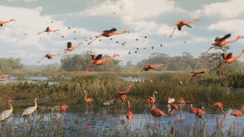 Flamingos — GTA 6 wildlife