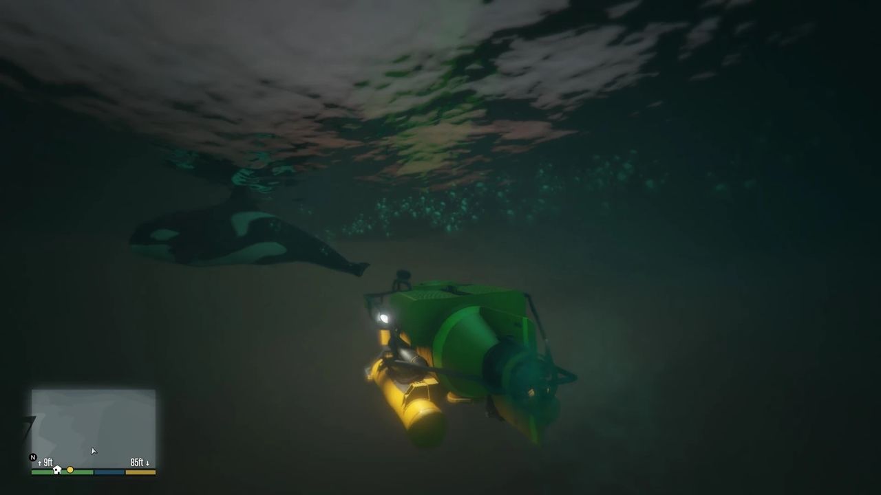 Killer Whales — image from the GTA Wiki
