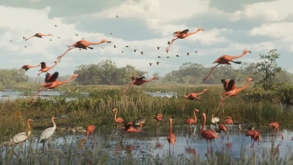 A flock of flamingos takes flight and stands in a marshy wetland, with other birds and alligators visible in the water.