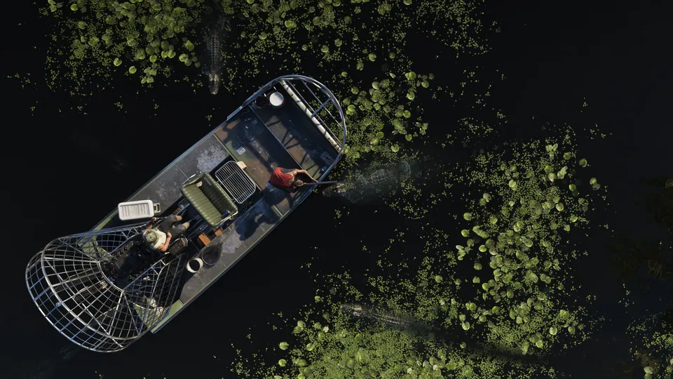 Grassrivers — official art 3 — official GTA 6 artwork of Grassrivers