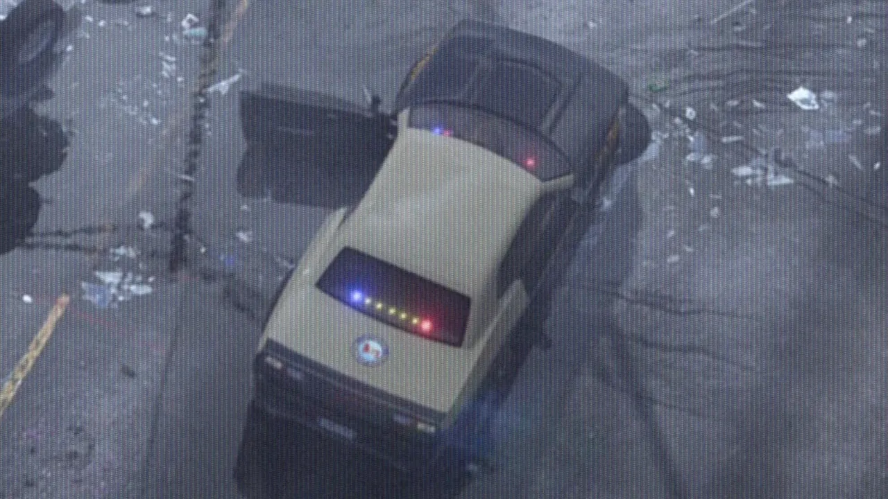 Unnamed GTA VI highway patrol agency in GTA 6