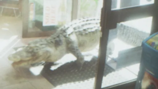 Alligators — GTA 6 wildlife
