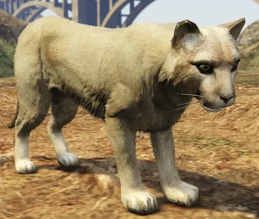 Cougars — GTA 6 wildlife