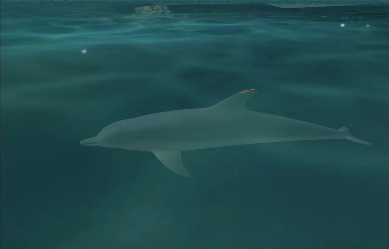 Dolphins — image from the GTA Wiki