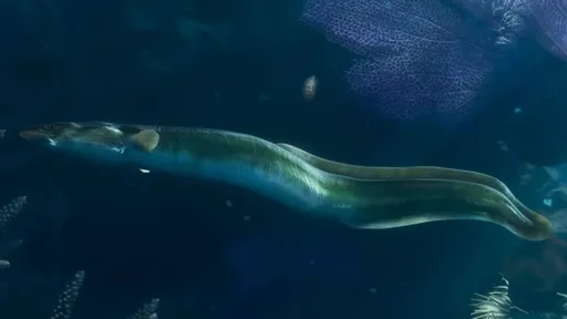 Eels — GTA 6 wildlife