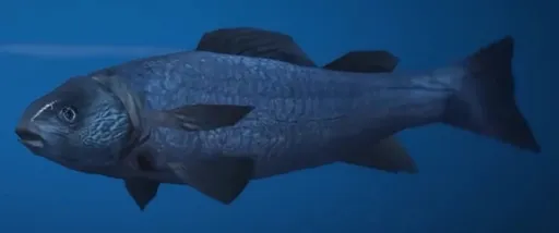 Fish — GTA 6 wildlife