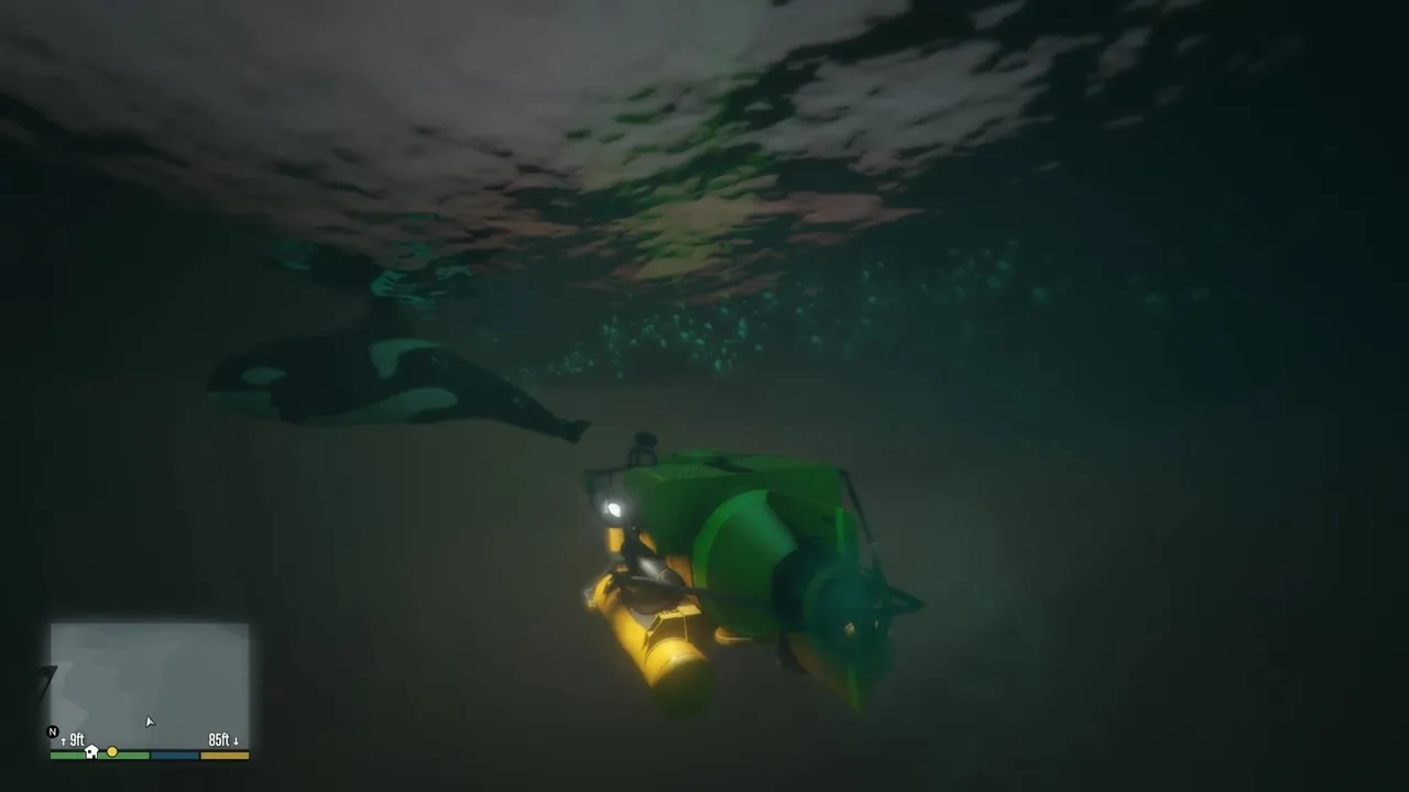 Killer Whales — image from the GTA Wiki