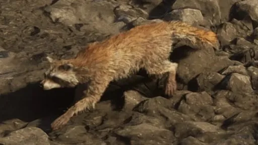 Raccoons — GTA 6 wildlife