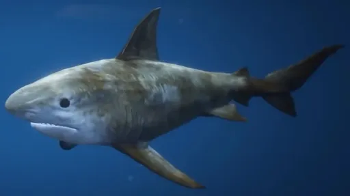 Sharks (animal) — GTA 6 wildlife