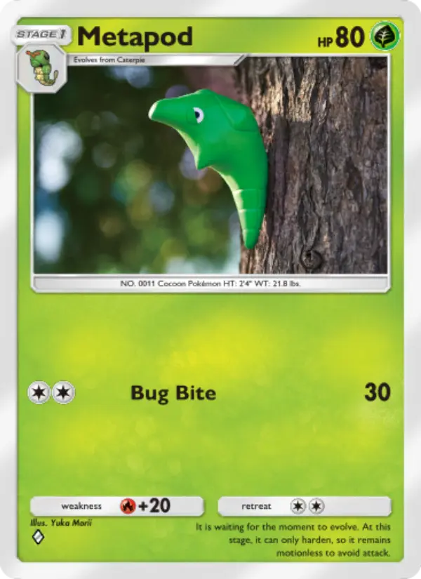 Metapod from A1