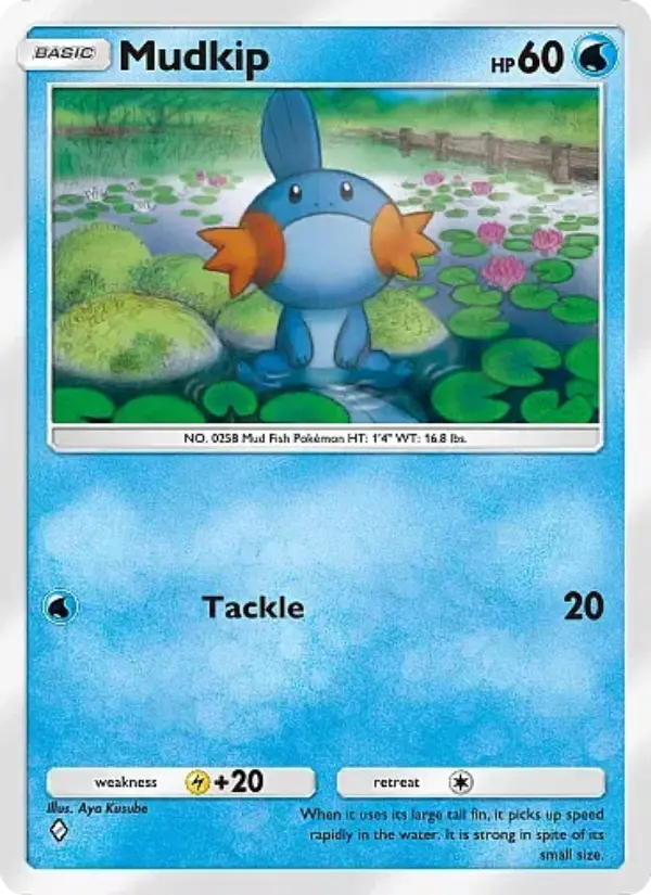 Mudkip from B2