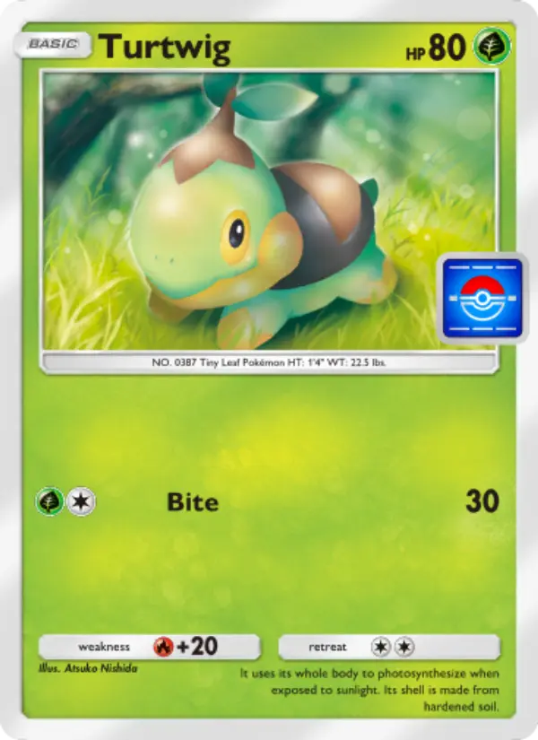 Turtwig from P-A