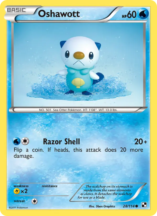 Oshawott from bw1
