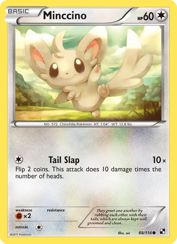 Minccino from bw1