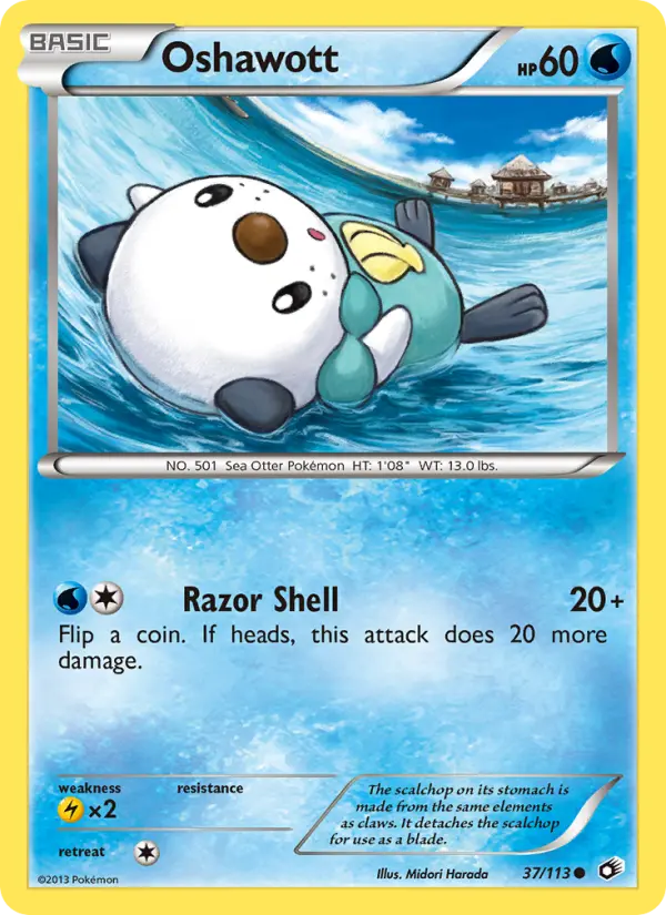 Oshawott from bw11