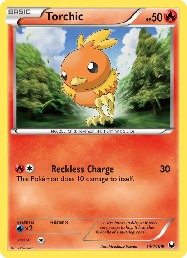Torchic from bw5