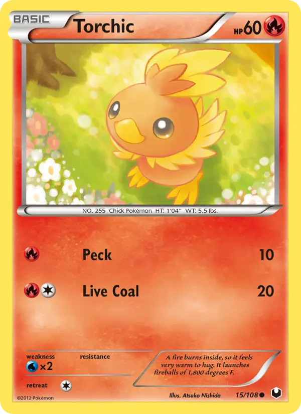 Torchic from bw5