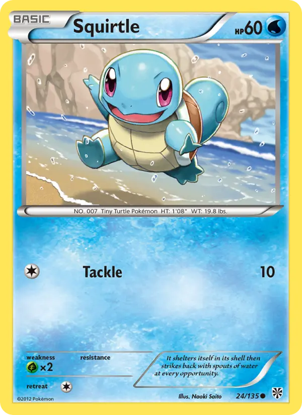 Squirtle from bw8