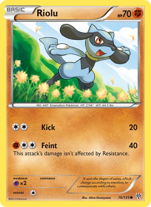 Riolu from bw8