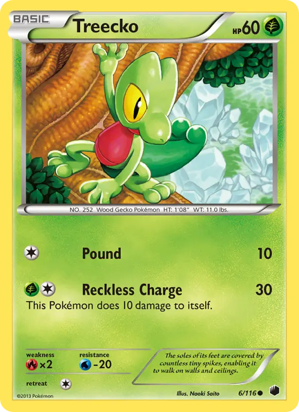 Treecko from bw9