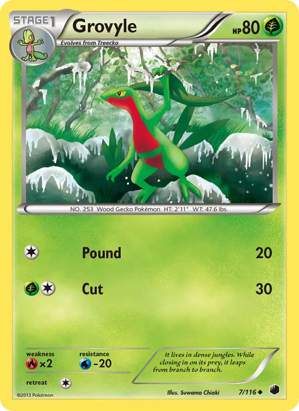 Grovyle from bw9