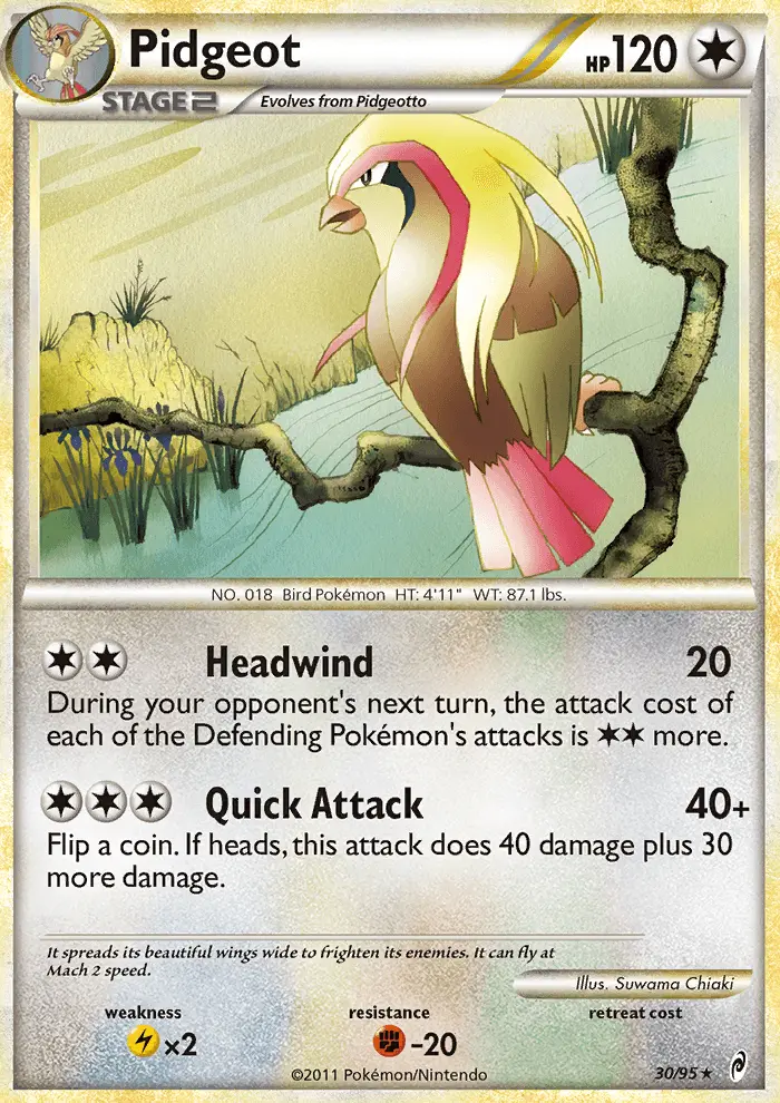 Pidgeot from col1