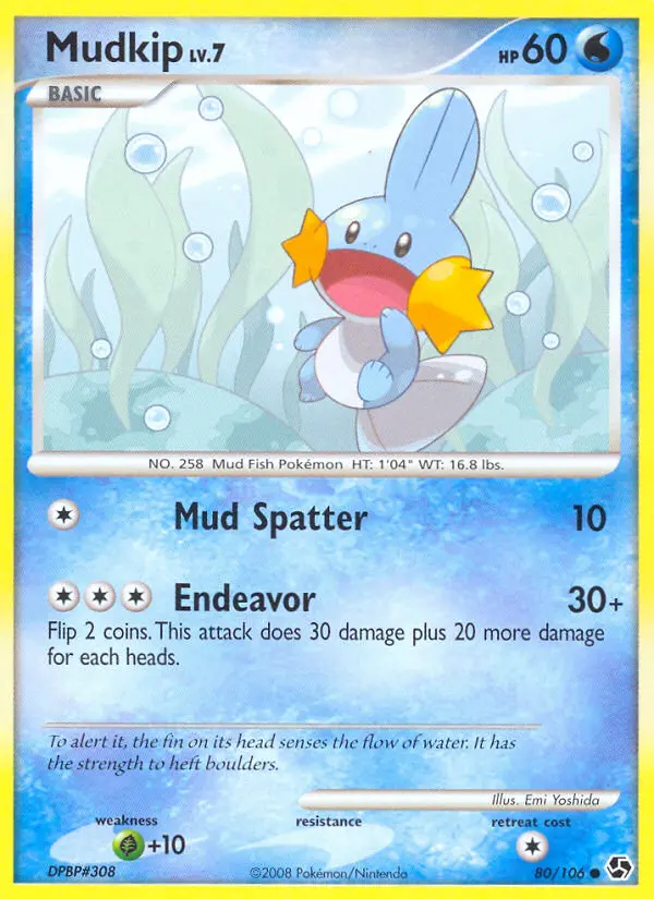 Mudkip from dp4