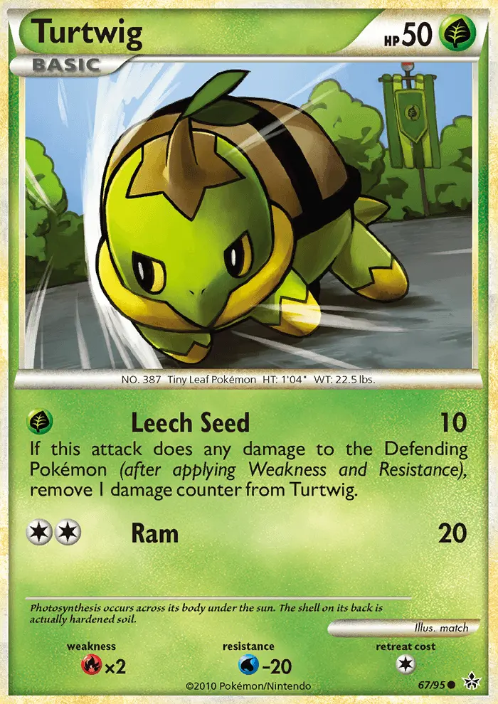 Turtwig from hgss2