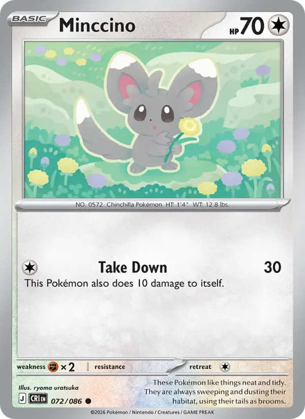 Minccino from me04