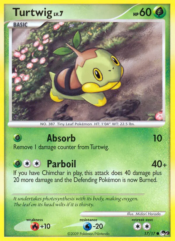 Turtwig from pop9