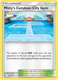 Misty’s Cerulean City Gym #61