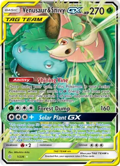 Venusaur & Snivy GX #1