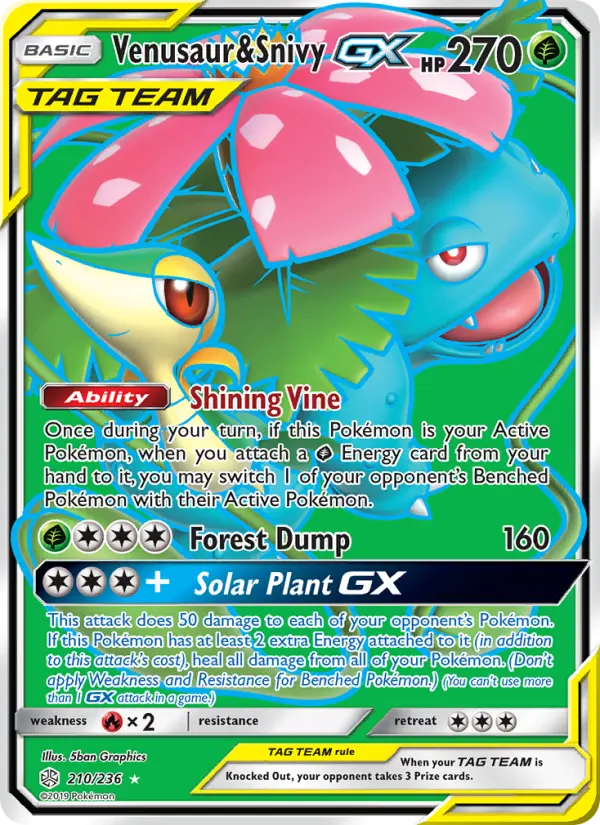 Venusaur & Snivy GX from sm12