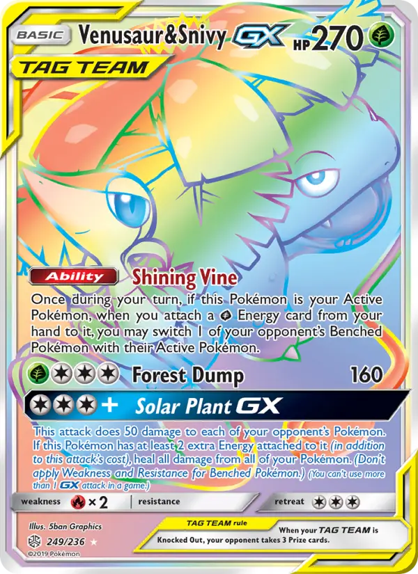 Venusaur & Snivy GX from sm12