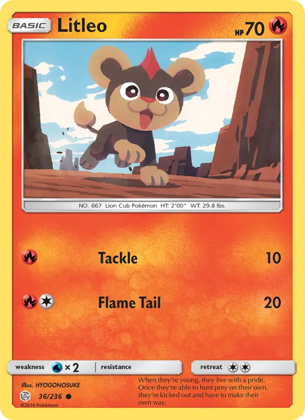 Litleo from sm12