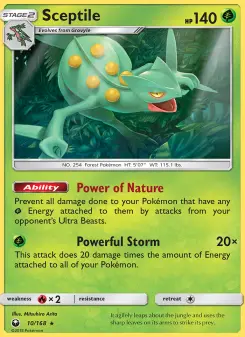 Celestial Storm card #10
