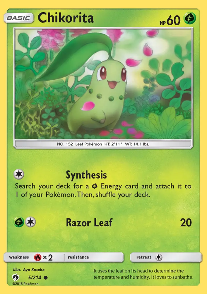 Chikorita from sm8