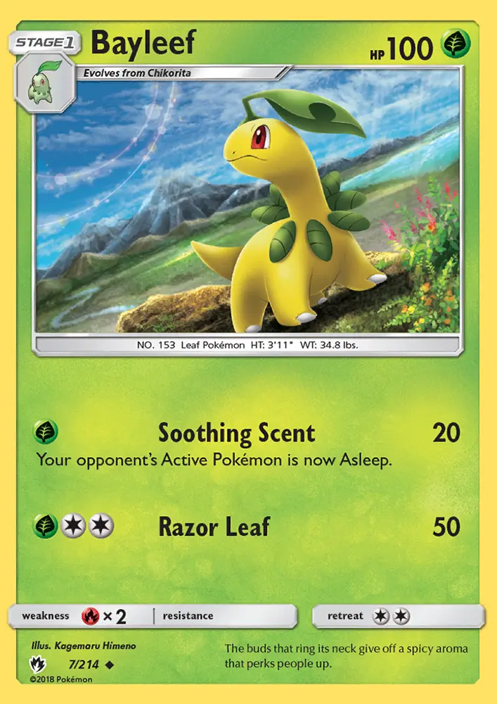 Bayleef from sm8