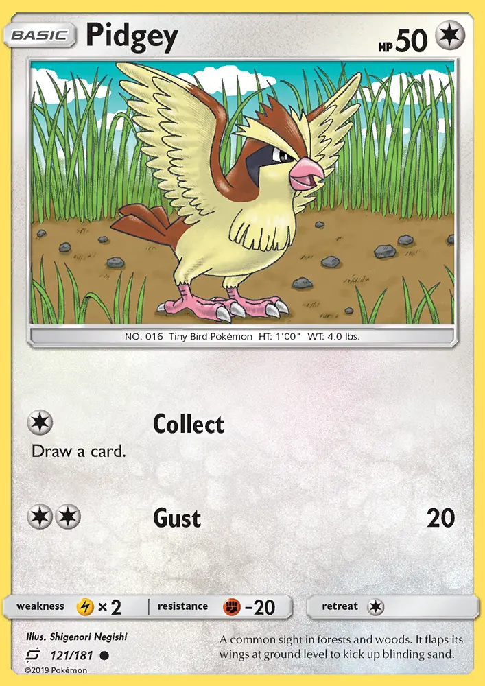 Pidgey from sm9