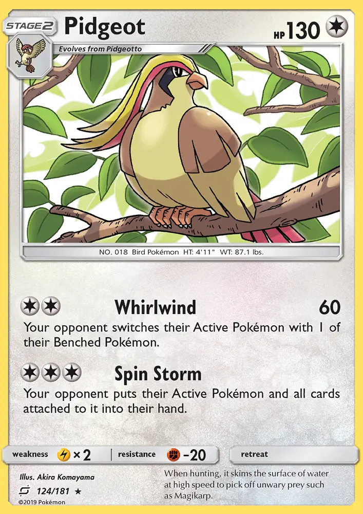 Pidgeot from sm9