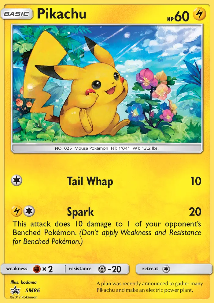 Pikachu Pokemon card from SM Black Star Promos