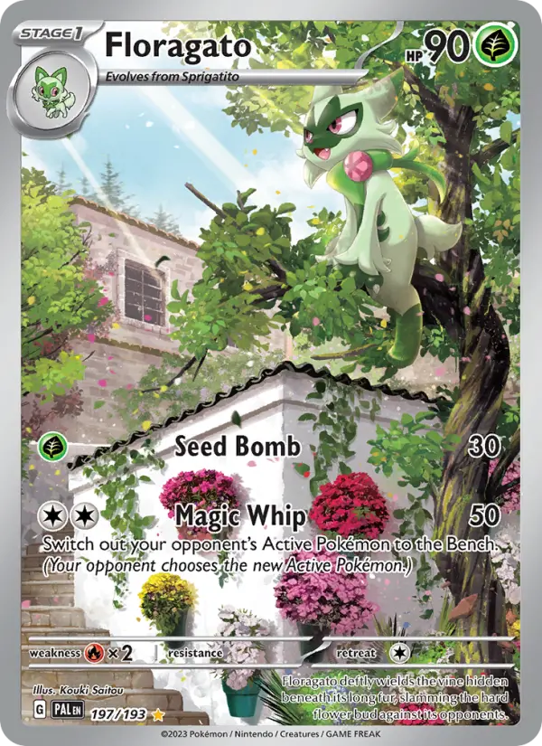 Floragato from sv02