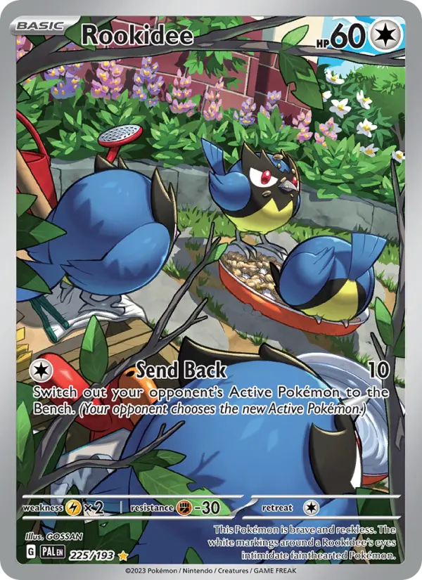 Rookidee from sv02