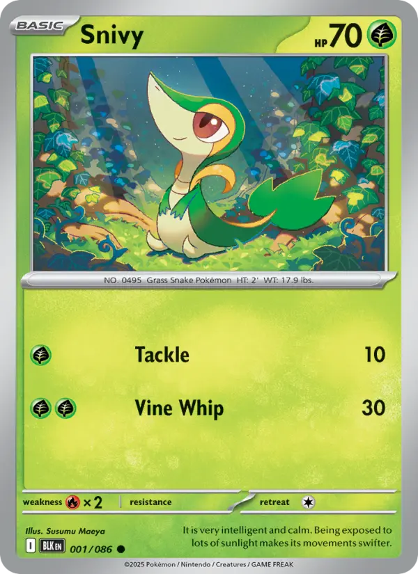 Snivy from sv10.5b