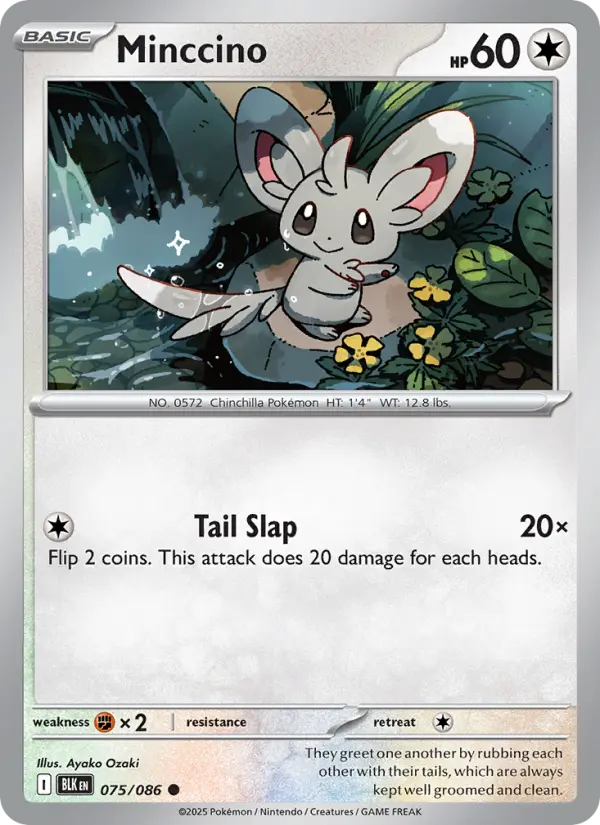 Minccino from sv10.5b